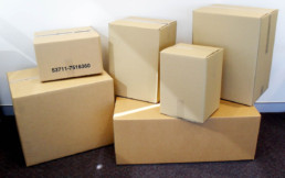 carboard box supplier